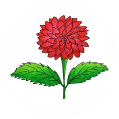 Dahlia App