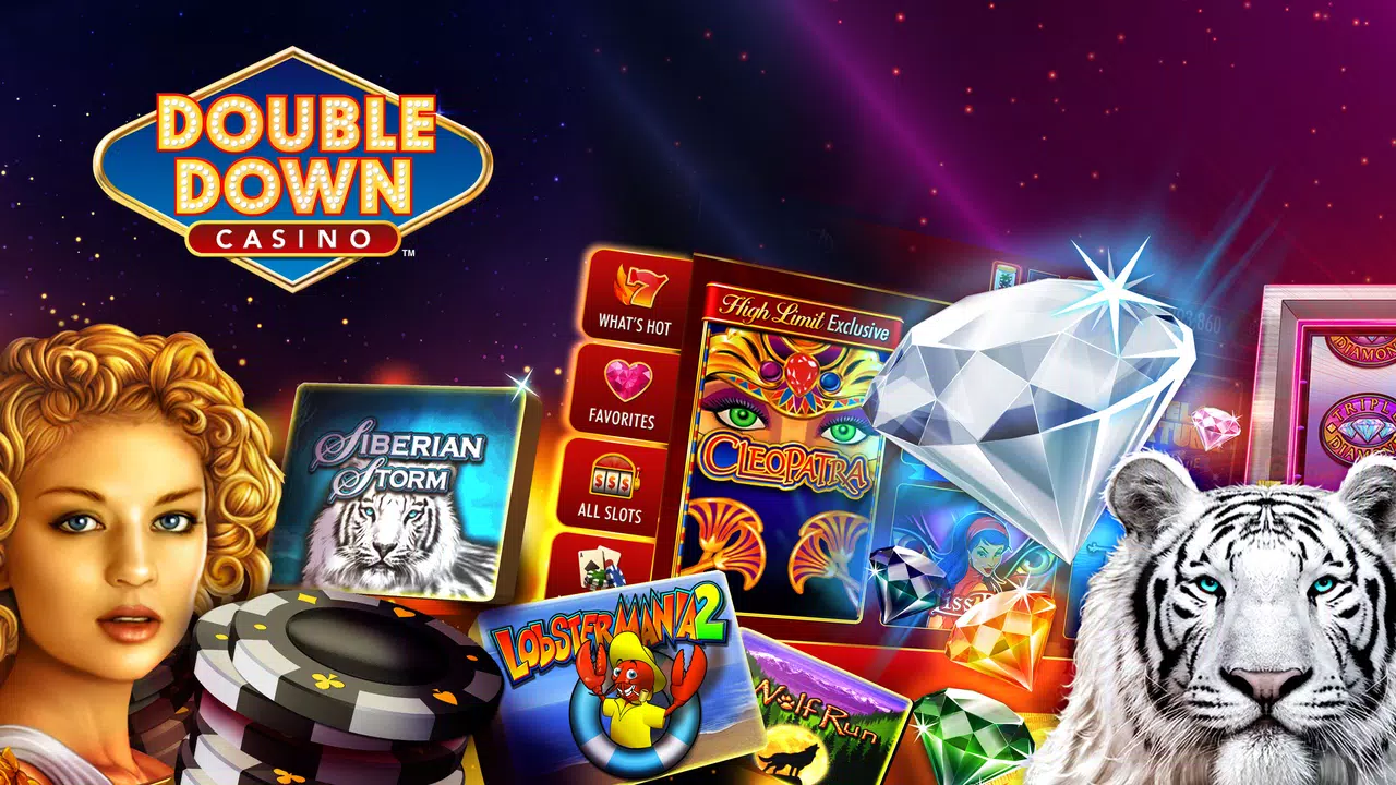 Double Down Interactive LLC