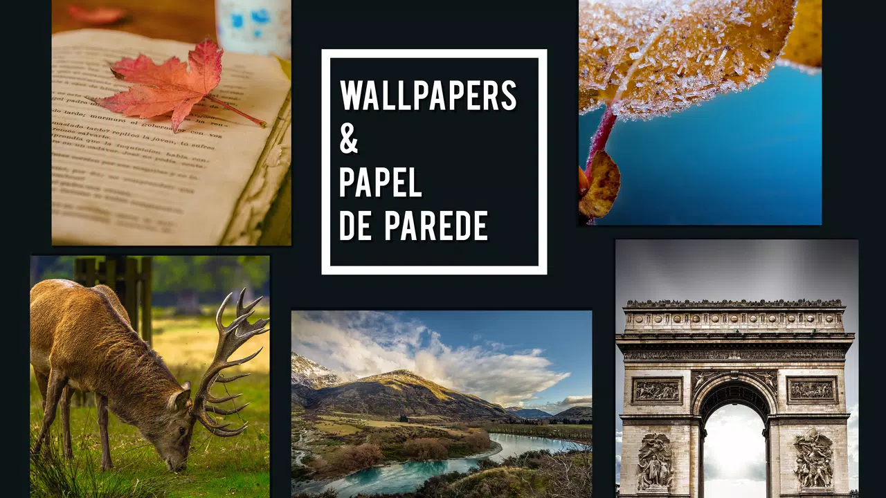 Wallpapers & Papel de Parede