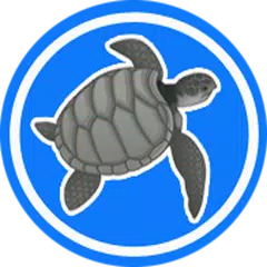 Tortoises Inc