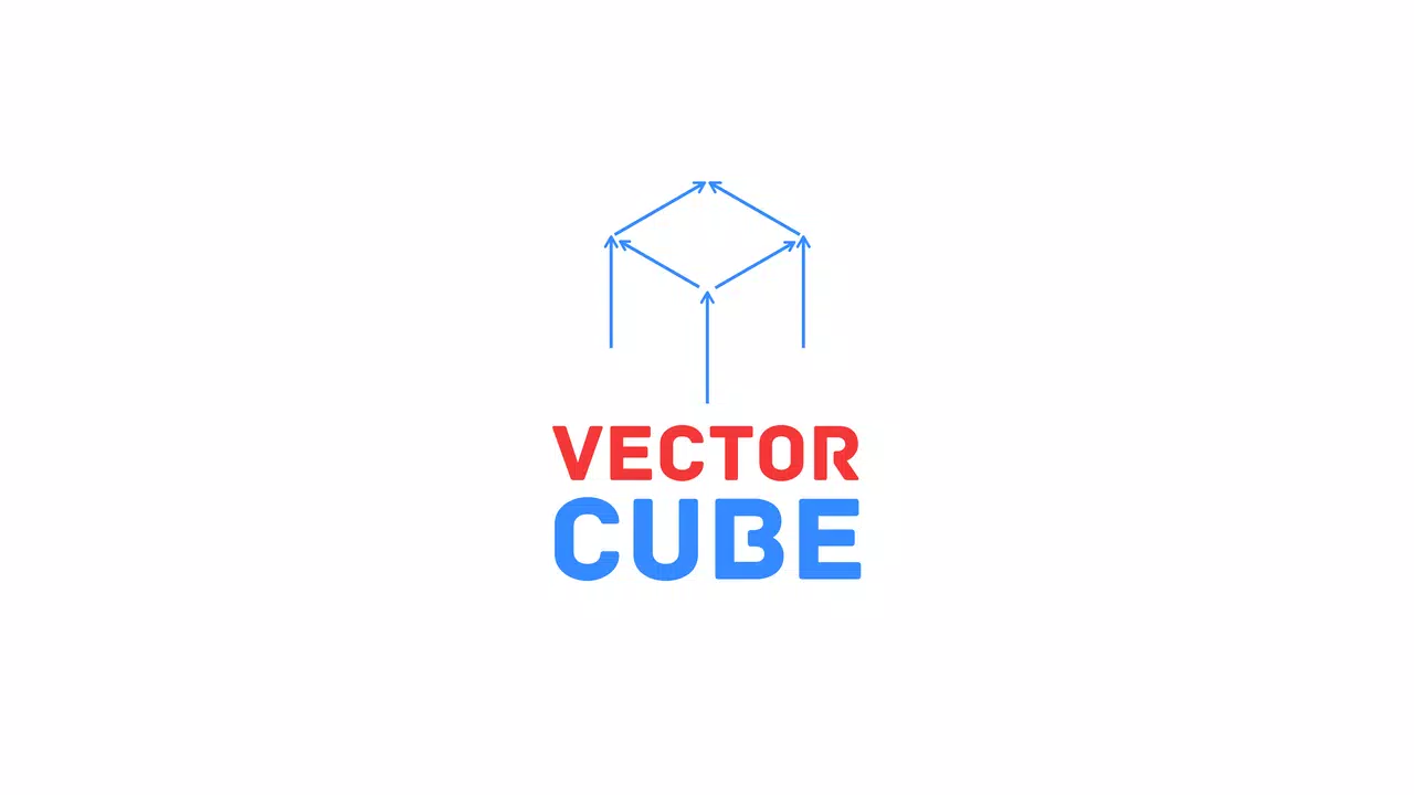 VECTOR CUBE