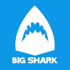 Big Shark Studio