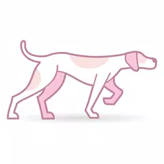 Pink Pointer