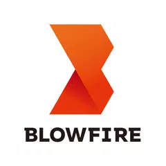 Blowfire Ltd.