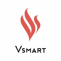 VinSmart