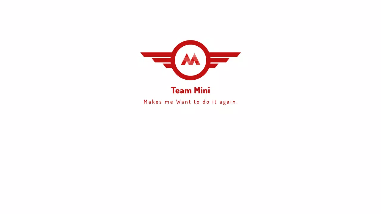 Team MINI