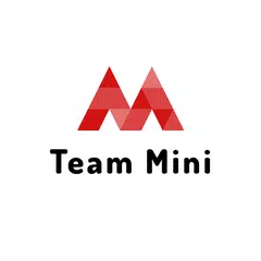 Team MINI