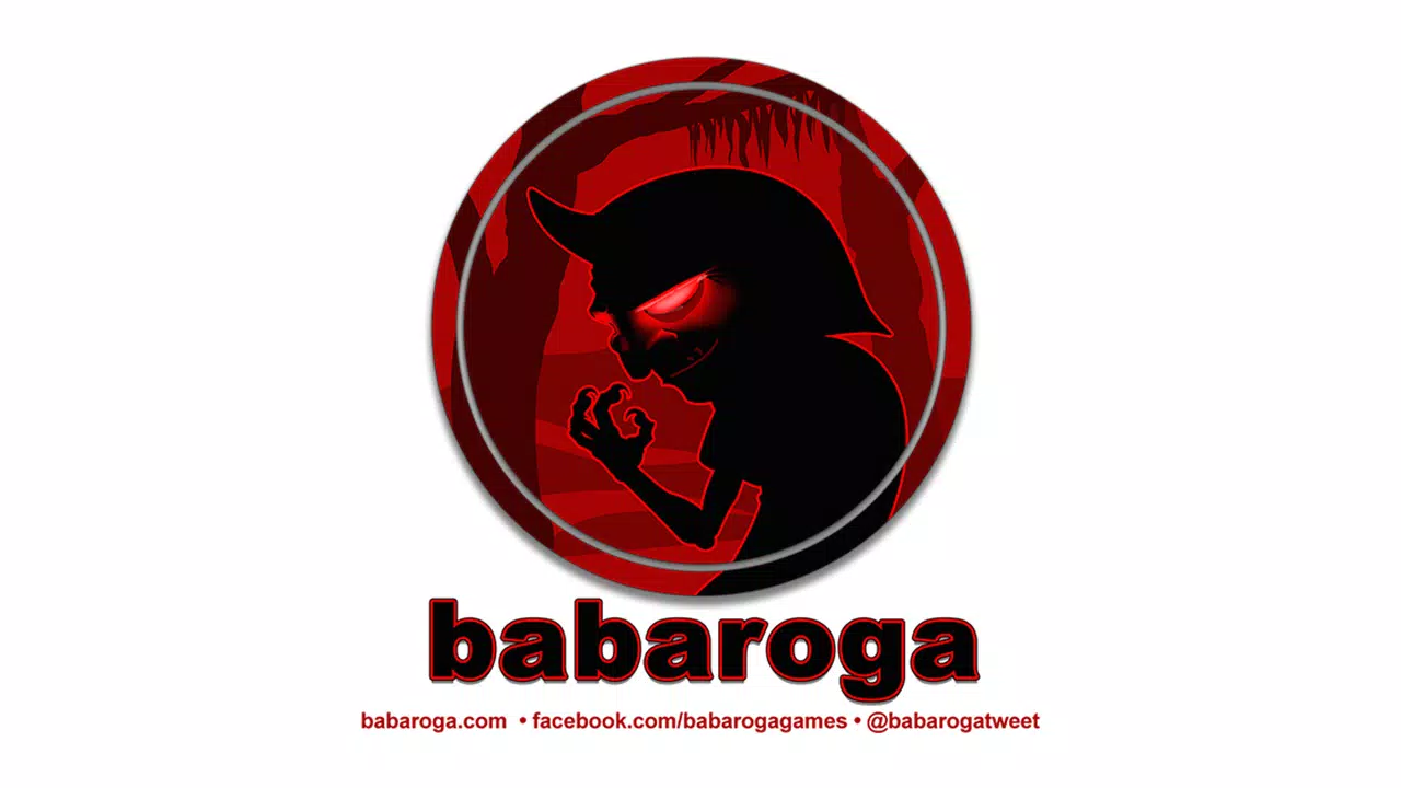 Babaroga, LLC