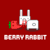BerryRabbit icon