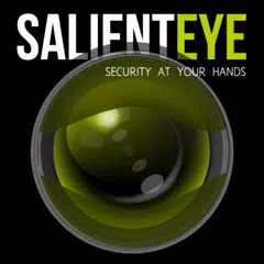 Salient Eye, Motion Detector Home Security Alarm