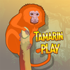Tamarin Play icon