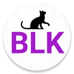 BLK Inc