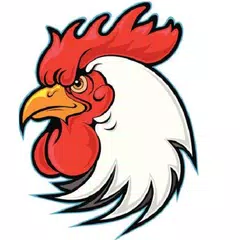 Rooster Kid