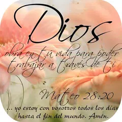 Reflexiones y Creencias