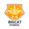 Bigcat Studios icon