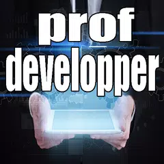 prof developper