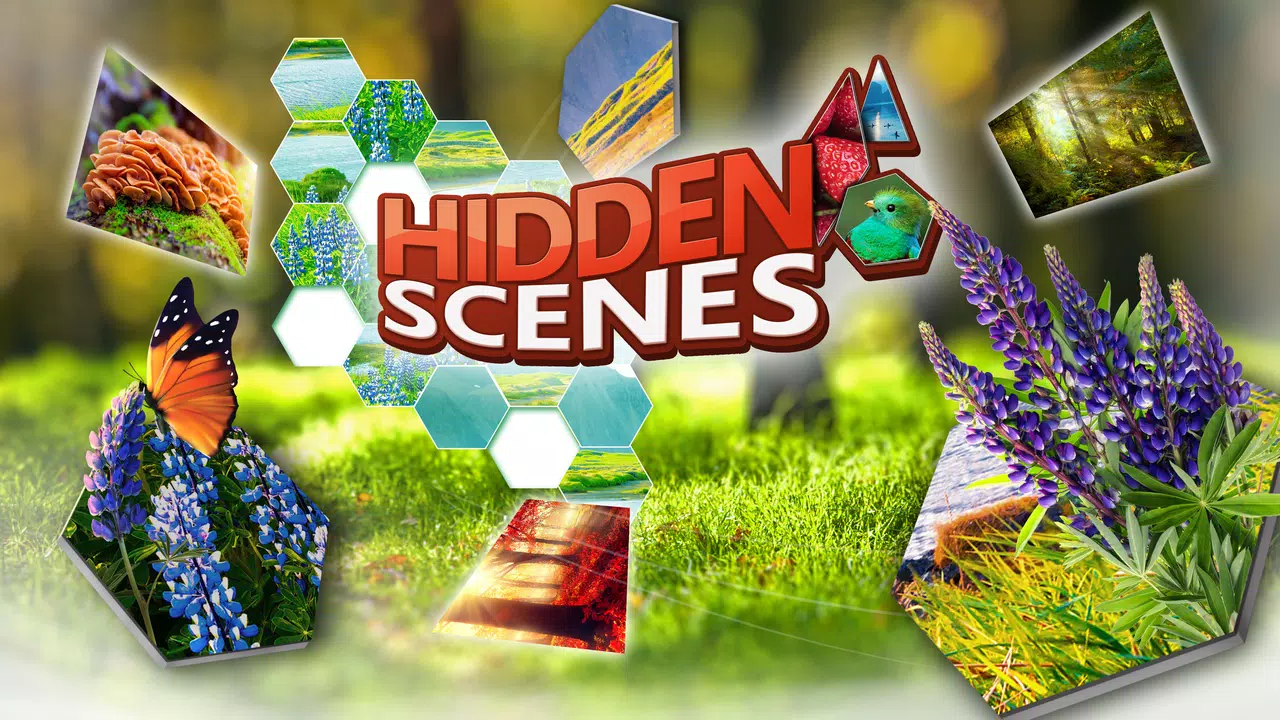 Hidden Scenes Games by Difference Games LLC