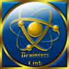 Brainiacs Link icon