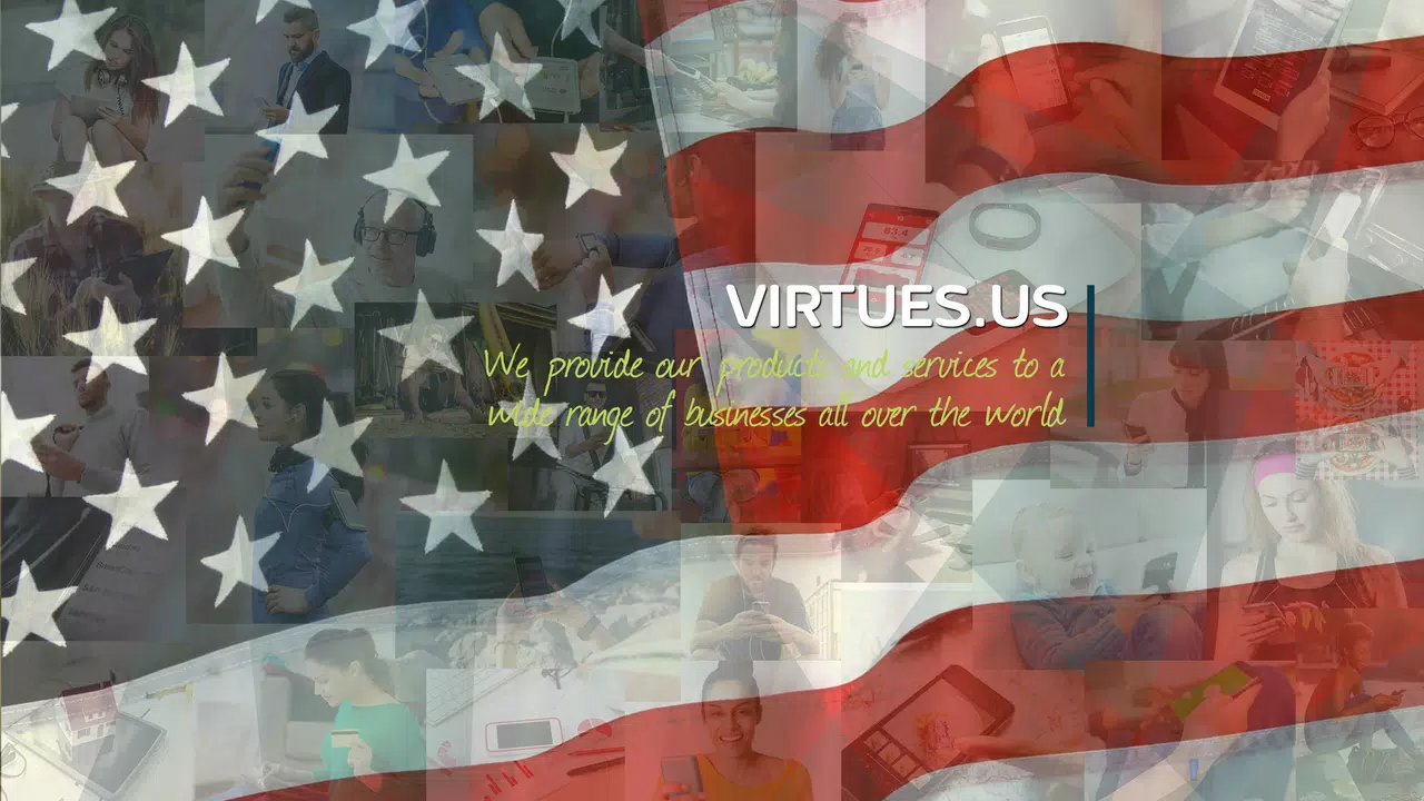 VIRTUES LLC