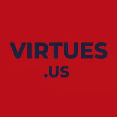 VIRTUES LLC