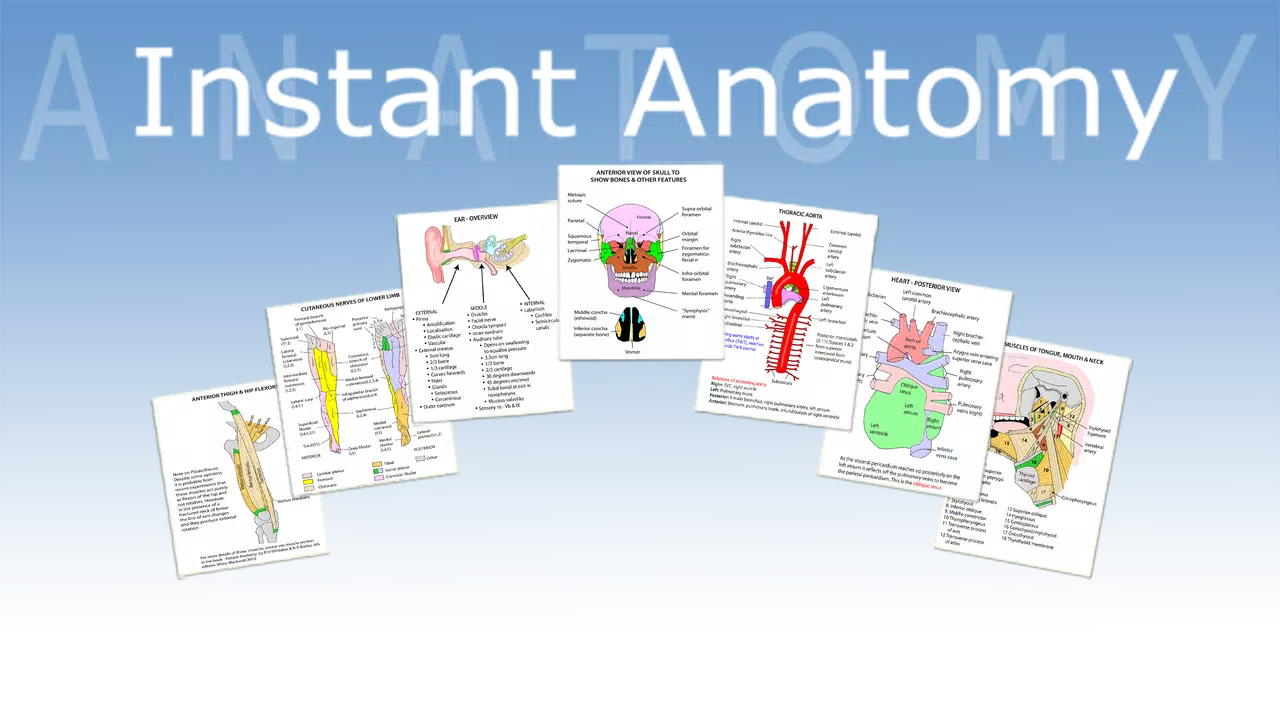 Instant Anatomy