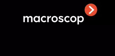 Macroscop video surveillance