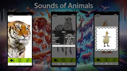 Geräusche der Tiere APK Herunterladen