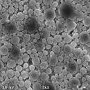 Virología en preguntas APK