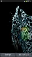 Leopard Affiche