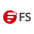 FS - Network Solution Zeichen
