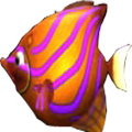 大魚吃小魚