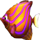 大魚吃小魚 APK