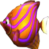 大魚吃小魚 icon