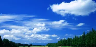 China Air Quality Index 空气质量指数