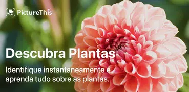 PictureThis Identificar Planta