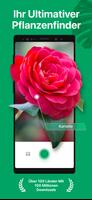 PictureThis Plakat