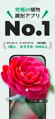 PictureThis：撮ったら 1秒でわかる 植物図鑑 アプリダウンロード