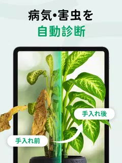 PictureThis：撮ったら 1秒でわかる 植物図鑑