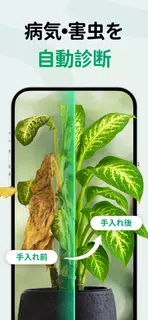 PictureThis：撮ったら 1秒でわかる 植物図鑑