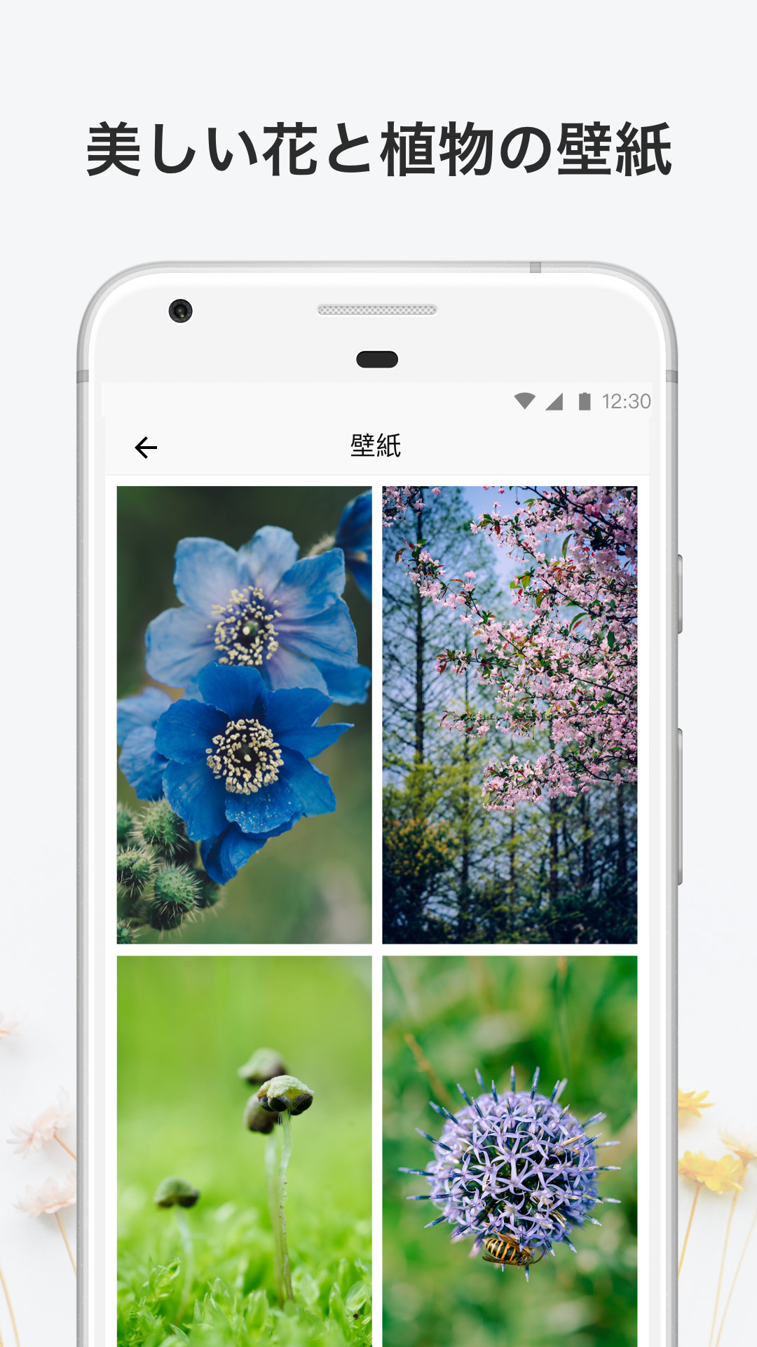 無料で Picturethis 撮ったら 判る 1秒植物図鑑 アプリの最新版 Apk2 1 6をダウンロードー Android用 Picturethis 撮ったら 判る 1秒植物図鑑 Apk の最新バージョンをダウンロード Apkfab Com Jp