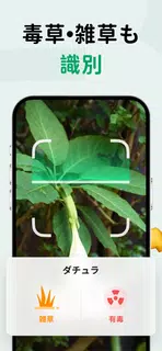 PictureThis：撮ったら 1秒でわかる 植物図鑑