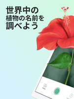 無料植物図鑑おすすめアプリtop10 Apkfab Com