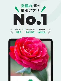 PictureThis：撮ったら 1秒でわかる 植物図鑑