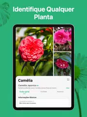Baixar PictureThis Identificar Planta XAPK