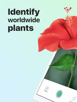 PictureThis 截图 15