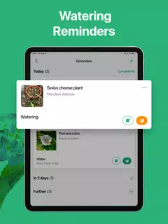 PictureThis - Plant Identifier