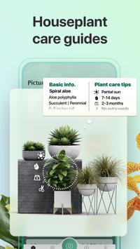 PictureThis 截图 2