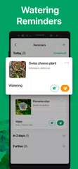 PictureThis - Plant Identifier XAPK download