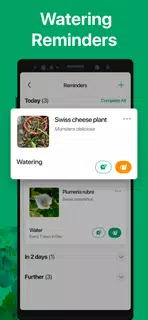 PictureThis - Plant Identifier