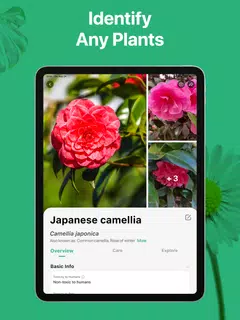 PictureThis - Plant Identifier